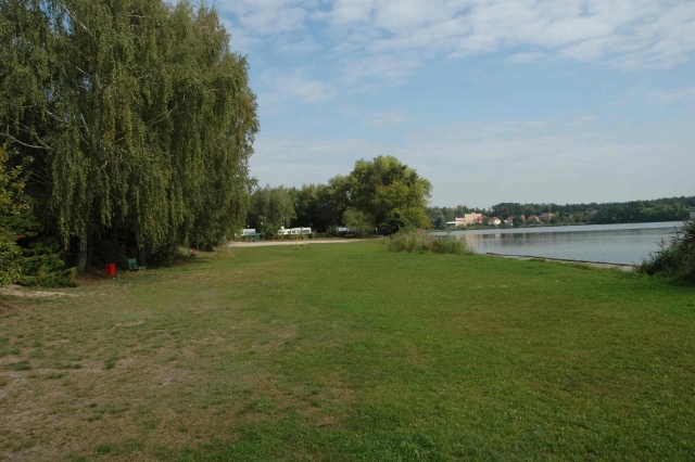 břeh