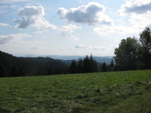 výhled